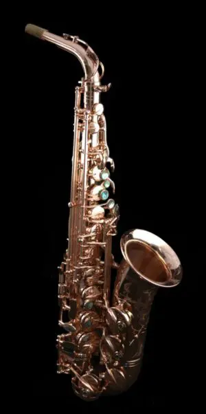 A saxophone is shown with the top of it.