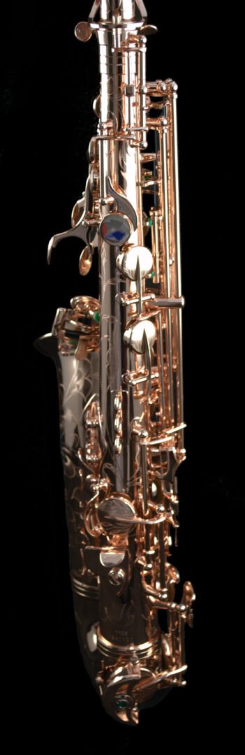 Saxgourmet Voodoo Master Alto Saxophone - Steve Goodson's
